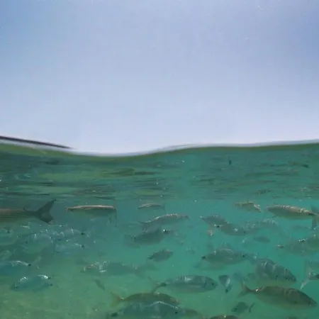 Üdülőközpont Pine Bay Kusadası