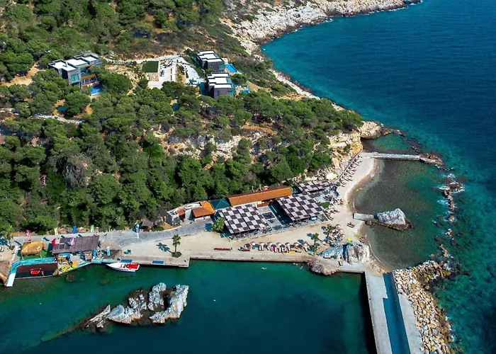 Pine Bay