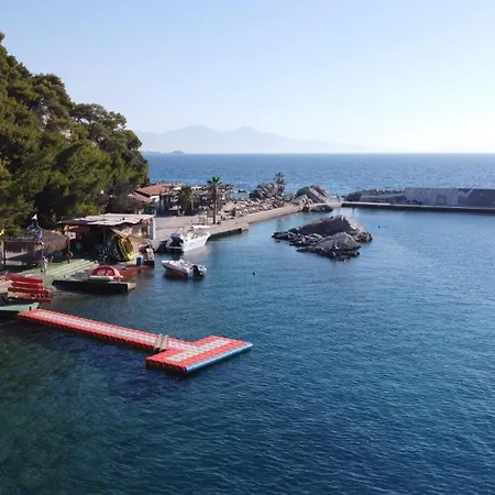 Pine Bay Курортный комплекс Кушадасы