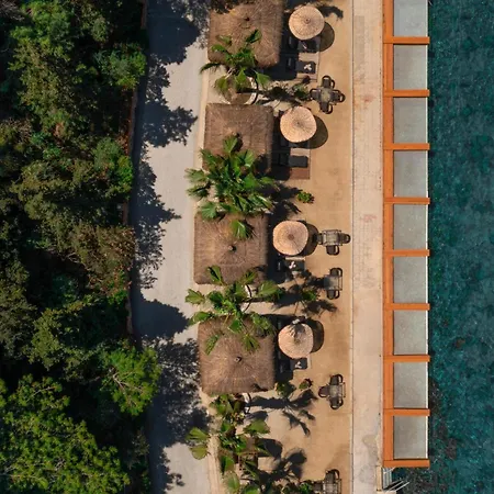 Pine Bay クシャダス