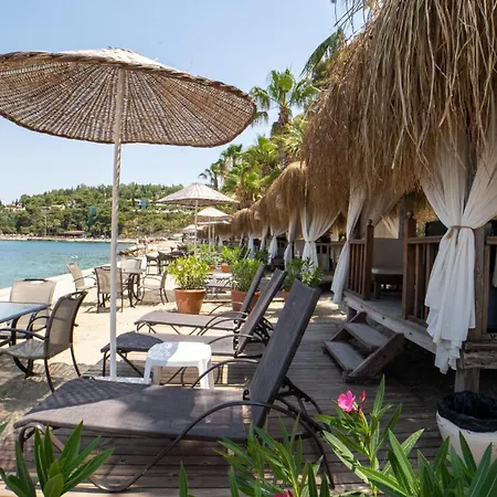 リゾート Pine Bay