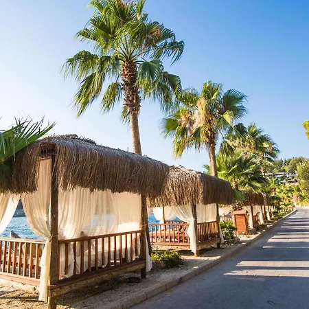 松树湾旅游度假酒店 度假村