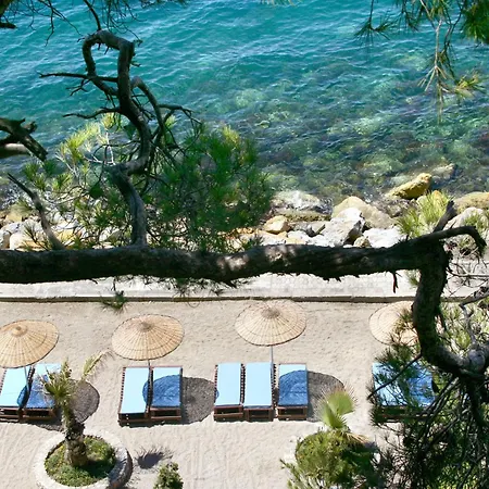 リゾート Pine Bay 5*