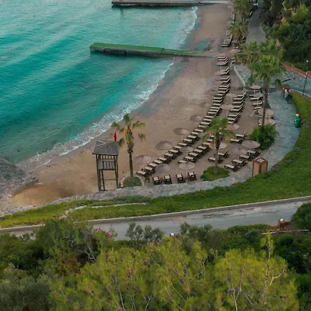 度假村 松树湾旅游度假酒店