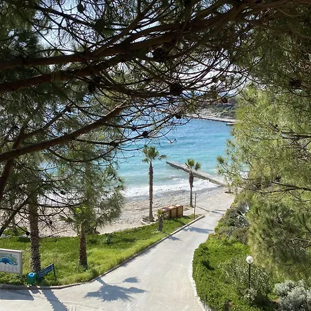 Pine Bay リゾート