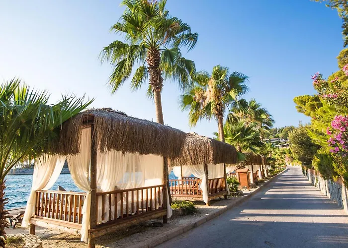 Pine Bay Resort